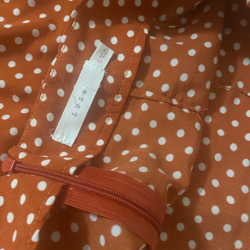 Francesca’s polka dot skirt - Picture 2 of 4
